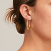 'Marcello' Classic Hoops