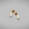 'Studs' South Sea White Pearl Earrings